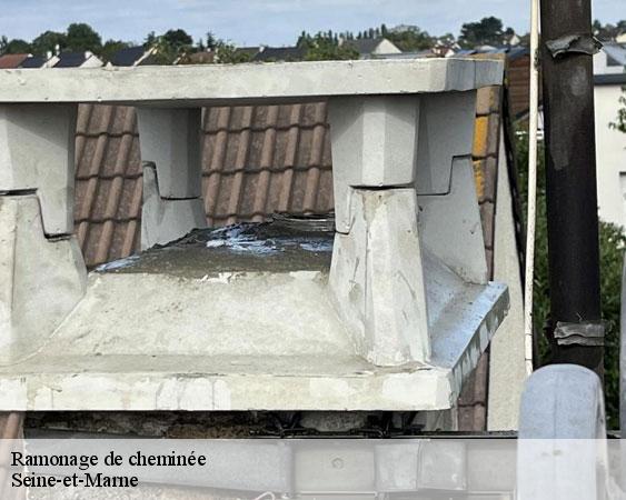 Ramonage de cheminée 77 Seine-et-Marne  Lobry Ramonage