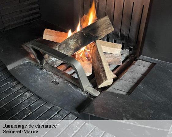 Ramonage de cheminée 77 Seine-et-Marne  Lobry Ramonage
