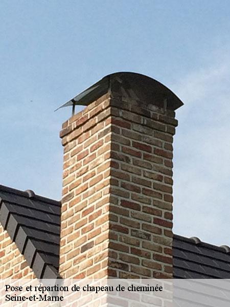 Pose et répartion de chapeau de cheminée 77 Seine-et-Marne Lobry ramonage