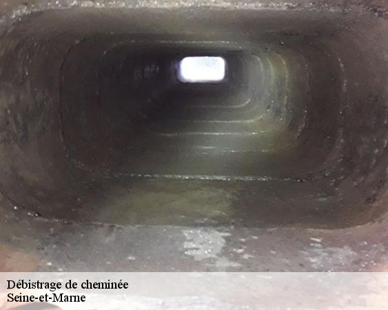 Débistrage de cheminée 77 Seine-et-Marne  Lobry Ramonage
