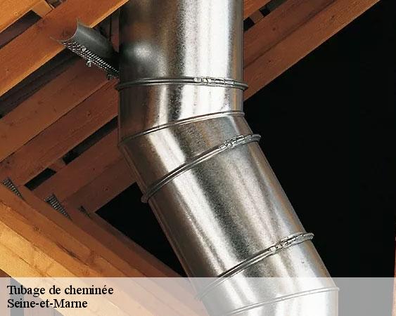 Tubage de cheminée 77 Seine-et-Marne  Lobry Ramonage