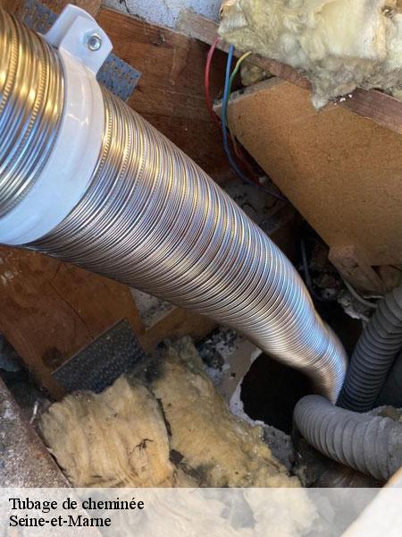 Tubage de cheminée 77 Seine-et-Marne Lobry Ramonage