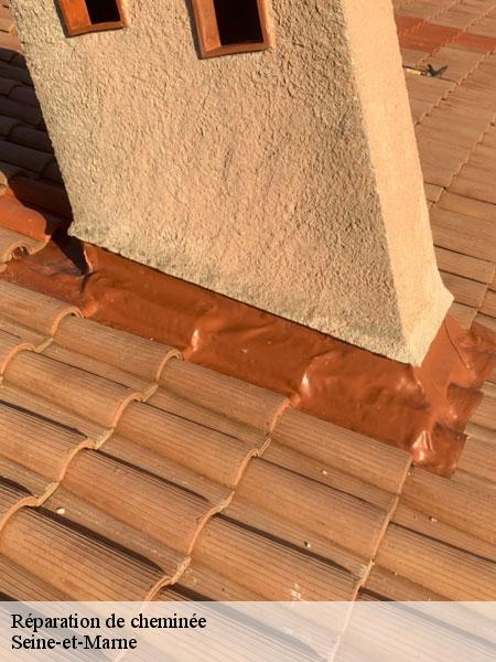 Réparation de cheminée 77 Seine-et-Marne Lobry Ramonage