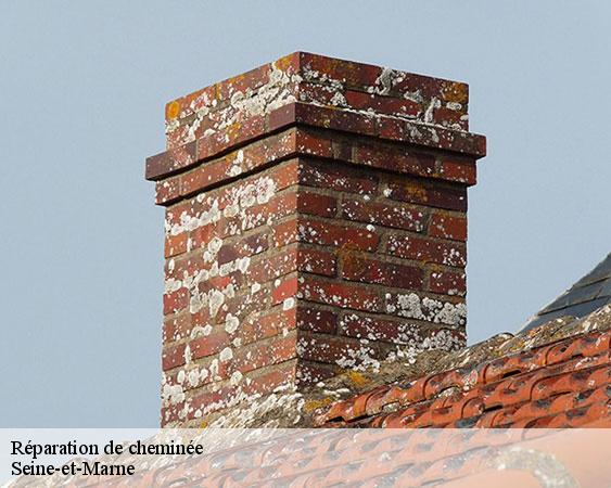 Réparation de cheminée 77 Seine-et-Marne Lobry Ramonage