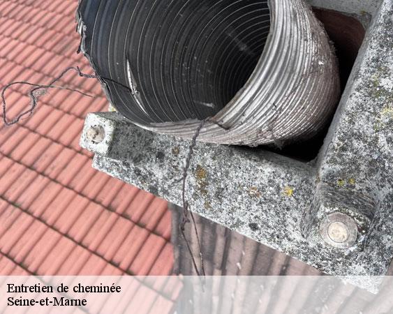 Entretien de cheminée 77 Seine-et-Marne Lobry Ramonage