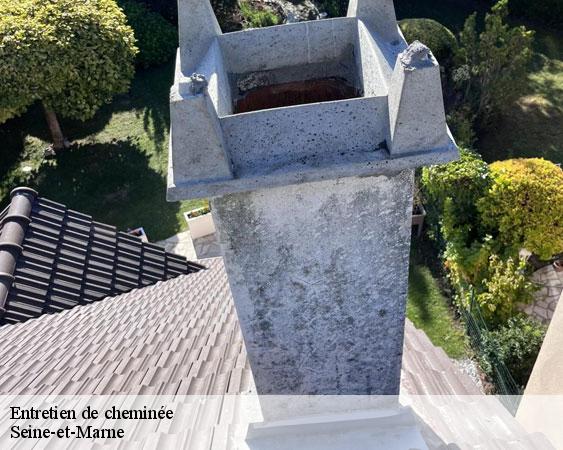 Entretien de cheminée 77 Seine-et-Marne  Lobry Ramonage