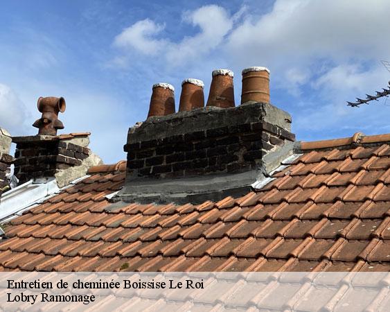 Entretien de cheminée  boissise-le-roi-77310 Lobry Ramonage