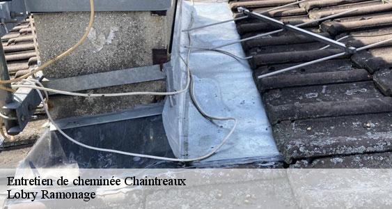 Entretien de cheminée  chaintreaux-77460 Lobry Ramonage