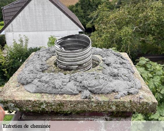 Entretien de cheminée  germigny-l-eveque-77910 Lobry Ramonage