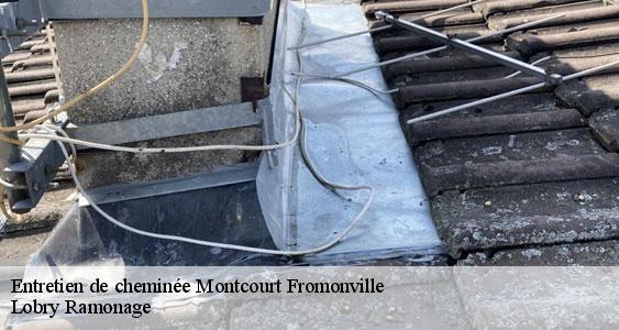 Entretien de cheminée  montcourt-fromonville-77140 Lobry Ramonage