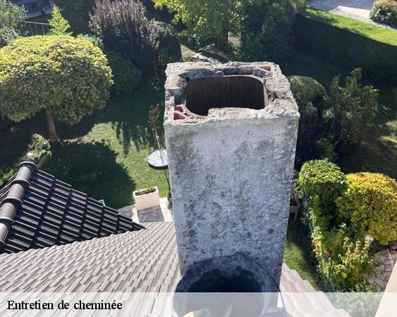 Entretien de cheminée  montolivet-77320 Lobry Ramonage
