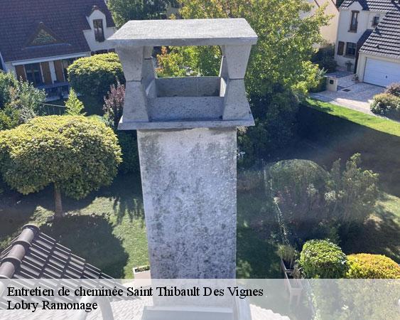 Entretien de cheminée  saint-thibault-des-vignes-77400 Lobry Ramonage
