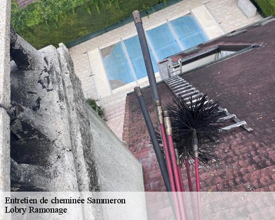 Entretien de cheminée  sammeron-77260 Lobry Ramonage