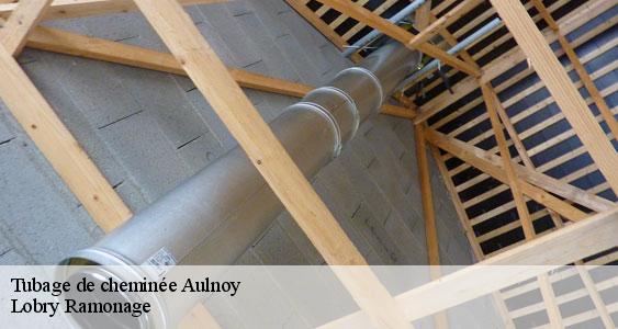 Tubage de cheminée  aulnoy-77120 Lobry Ramonage