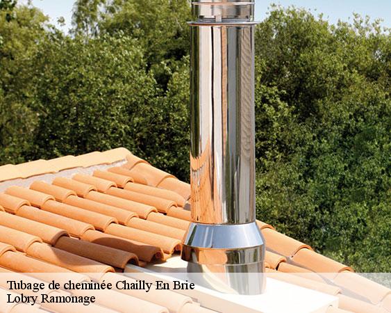 Tubage de cheminée  chailly-en-brie-77120 Lobry Ramonage