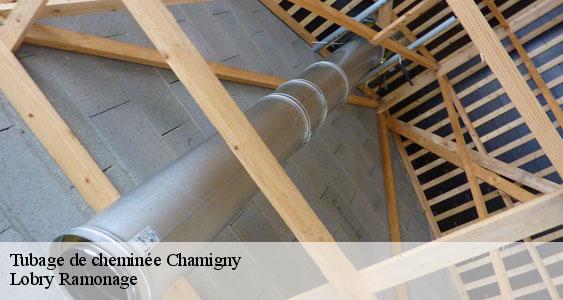 Tubage de cheminée  chamigny-77260 Lobry Ramonage