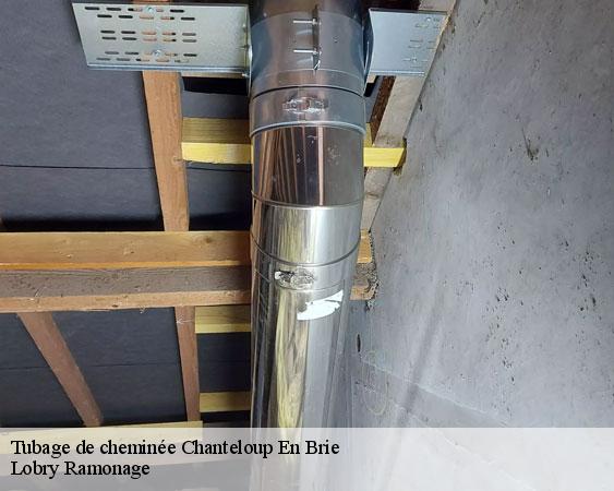 Tubage de cheminée chanteloup-en-brie-77600 Lobry Ramonage