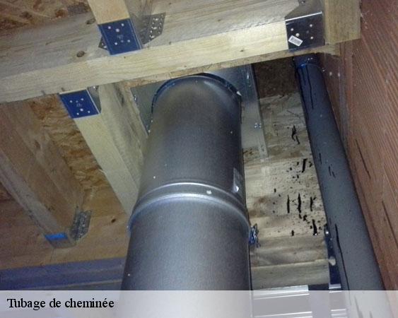 Tubage de cheminée chelles-77500 Lobry ramonage