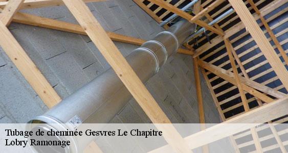Tubage de cheminée  gesvres-le-chapitre-77165 Lobry Ramonage
