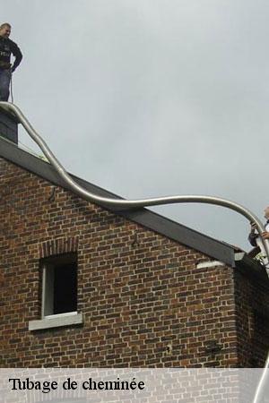Tubage de cheminée  guerard-77580 Lobry Ramonage