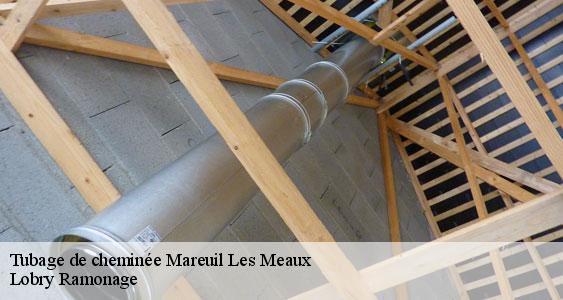 Tubage de cheminée  mareuil-les-meaux-77100 Lobry Ramonage