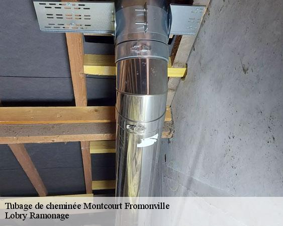 Tubage de cheminée  montcourt-fromonville-77140 Lobry Ramonage
