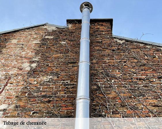 Tubage de cheminée montereau-sur-le-jard-77950 Lobry Ramonage