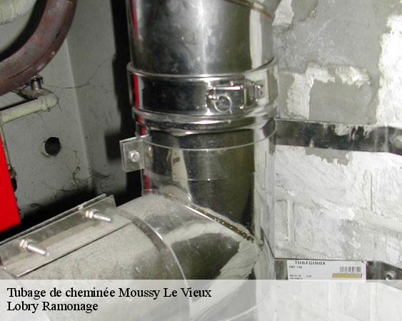 Tubage de cheminée  moussy-le-vieux-77230 Lobry Ramonage