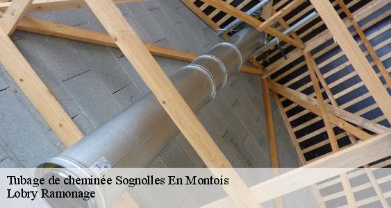 Tubage de cheminée  sognolles-en-montois-77520 Lobry Ramonage
