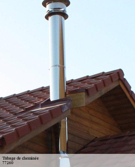 Tubage de cheminée  ussy-sur-marne-77260 Lobry Ramonage