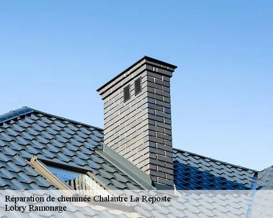 Réparation de cheminée  chalautre-la-reposte-77520 Lobry Ramonage