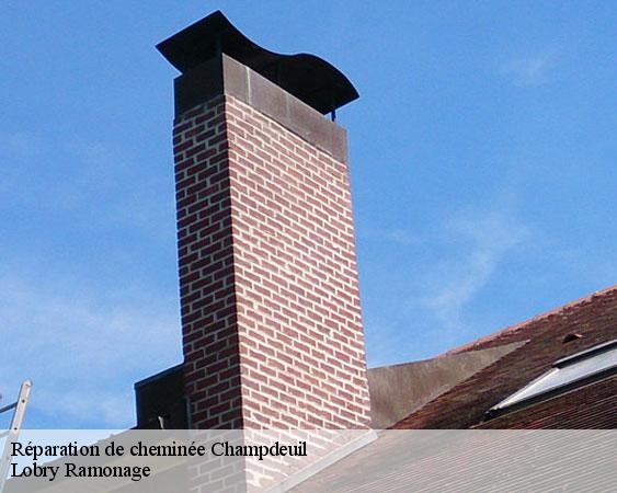 Réparation de cheminée  champdeuil-77390 Lobry Ramonage