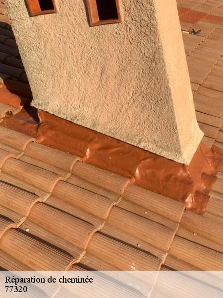 Réparation de cheminée chevru-77320 Lobry Ramonage