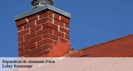 Réparation de cheminée  diant-77940 Lobry Ramonage