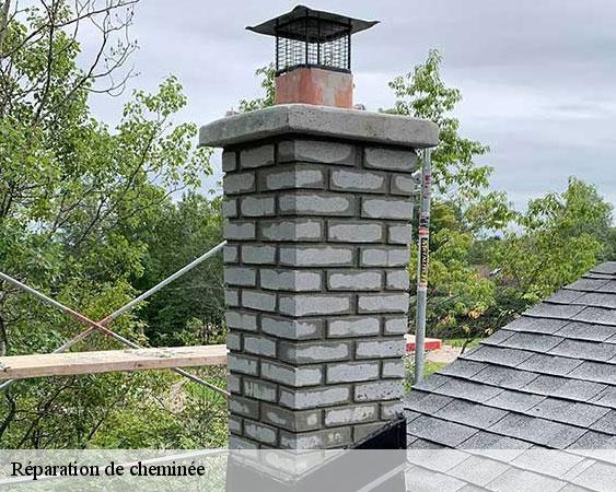 Réparation de cheminée  jouarre-77640 Lobry Ramonage