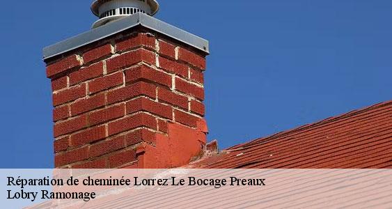 Réparation de cheminée  lorrez-le-bocage-preaux-77710 Lobry Ramonage