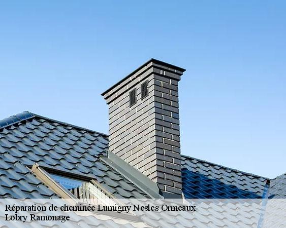 Réparation de cheminée  lumigny-nesles-ormeaux-77540 Lobry Ramonage