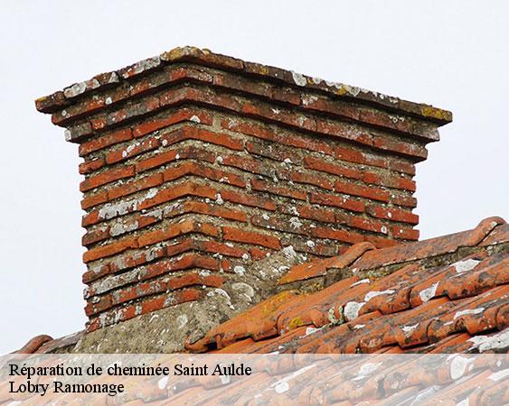 Réparation de cheminée  saint-aulde-77260 Lobry Ramonage