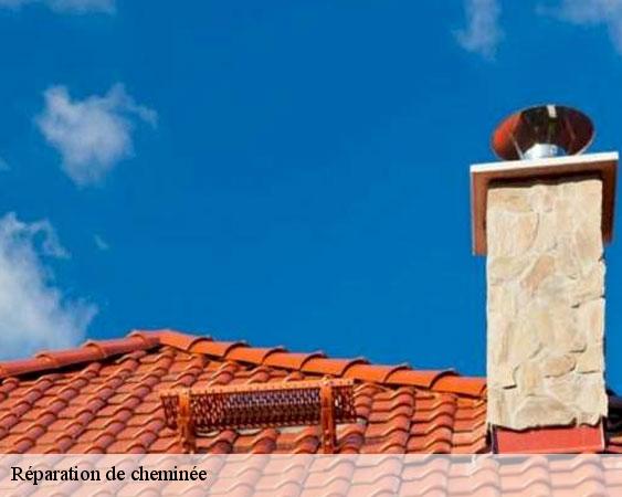 Réparation de cheminée  saint-jean-les-deux-jumeaux-77660 Lobry Ramonage