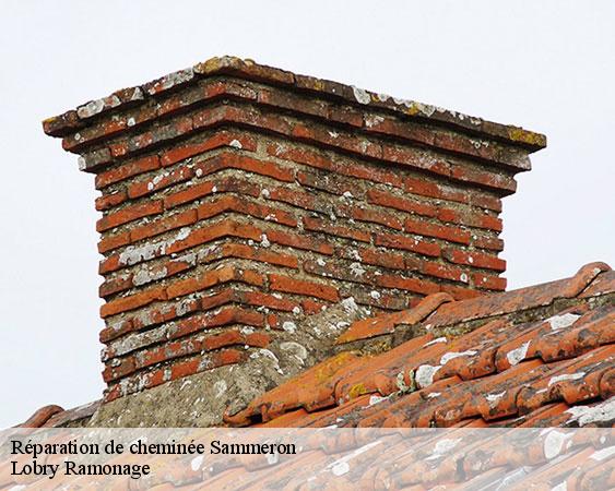 Réparation de cheminée  sammeron-77260 Lobry Ramonage
