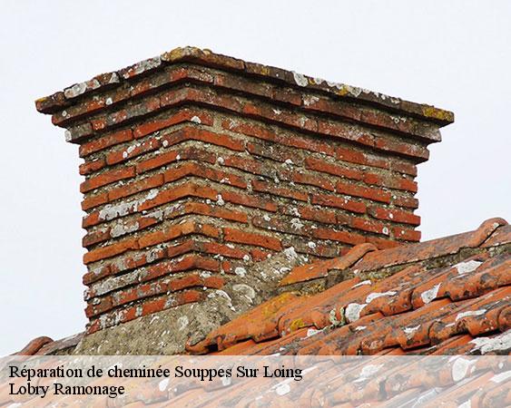 Réparation de cheminée  souppes-sur-loing-77460 Lobry Ramonage