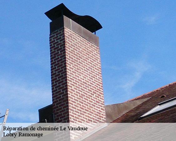 Réparation de cheminée le-vaudoue-77123 Lobry Ramonage