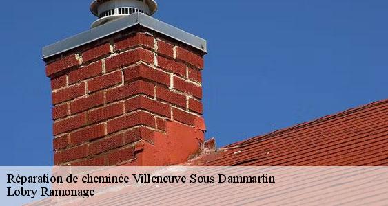 Réparation de cheminée  villeneuve-sous-dammartin-77230 Lobry Ramonage