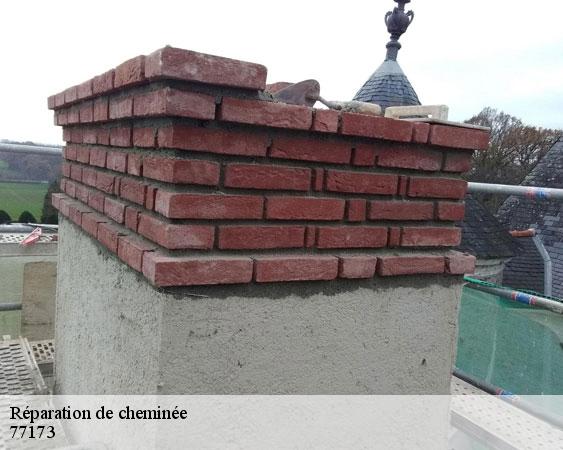 Réparation de cheminée cossigny-77173 Lobry Ramonage