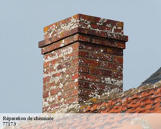 Réparation de cheminée  cossigny-77173 Lobry Ramonage