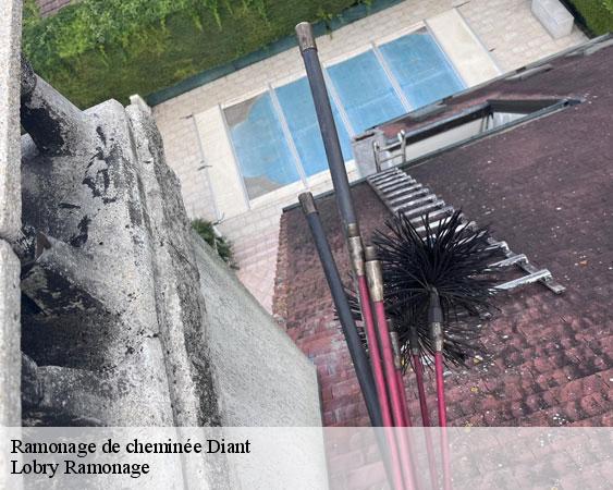 Ramonage de cheminée  diant-77940 Lobry Ramonage