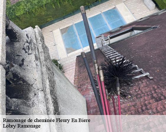 Ramonage de cheminée  fleury-en-biere-77930 Lobry Ramonage