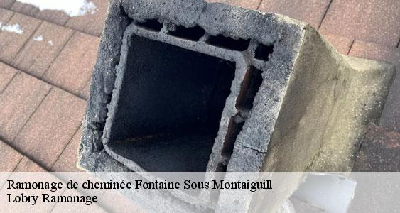 Ramonage de cheminée  fontaine-sous-montaiguill-77560 Lobry Ramonage