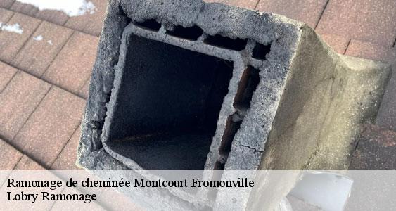 Ramonage de cheminée  montcourt-fromonville-77140 Lobry Ramonage