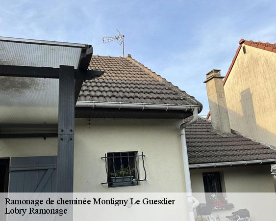 Ramonage de cheminée  montigny-le-guesdier-77480 Lobry Ramonage